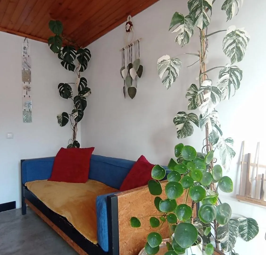 Kanela Guest House B-Side Machico  Apartment Machico (Madeira)