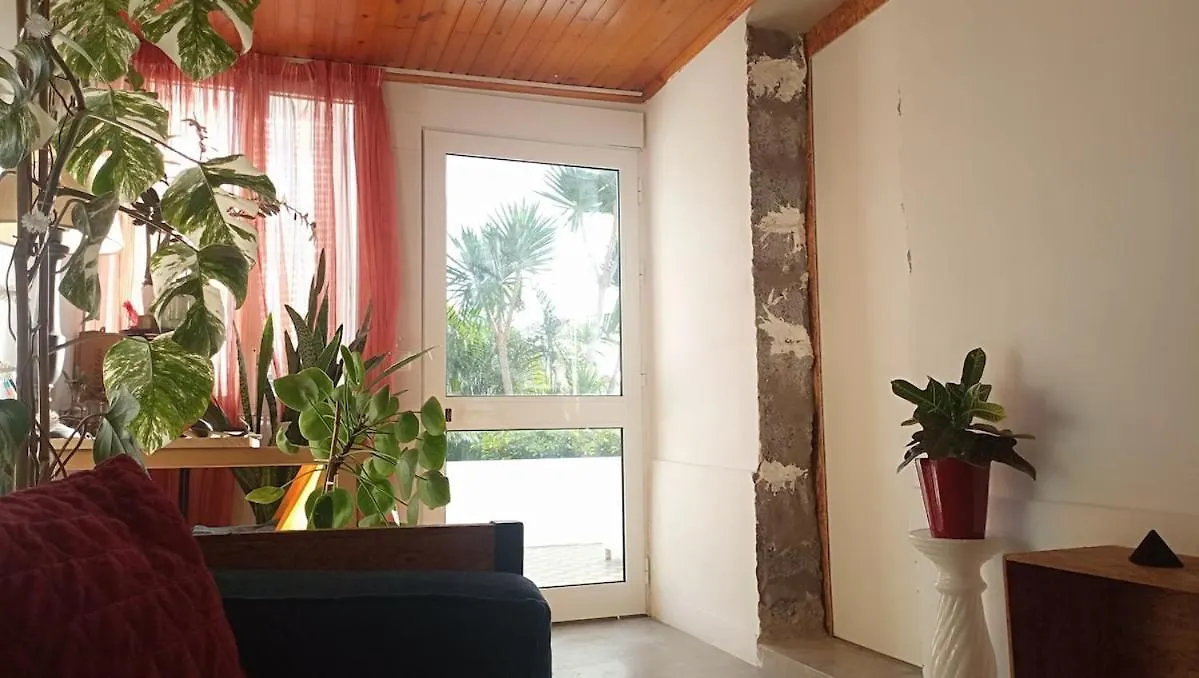 Apartment Kanela Guest House B-Side Machico