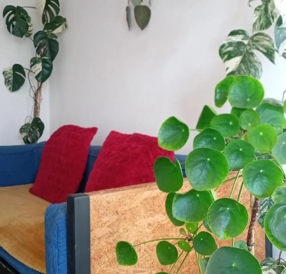 Kanela Guest House B-Side Machico  Machico (Madeira)