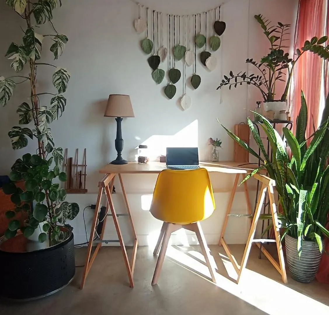Apartment Kanela Guest House B-Side Machico