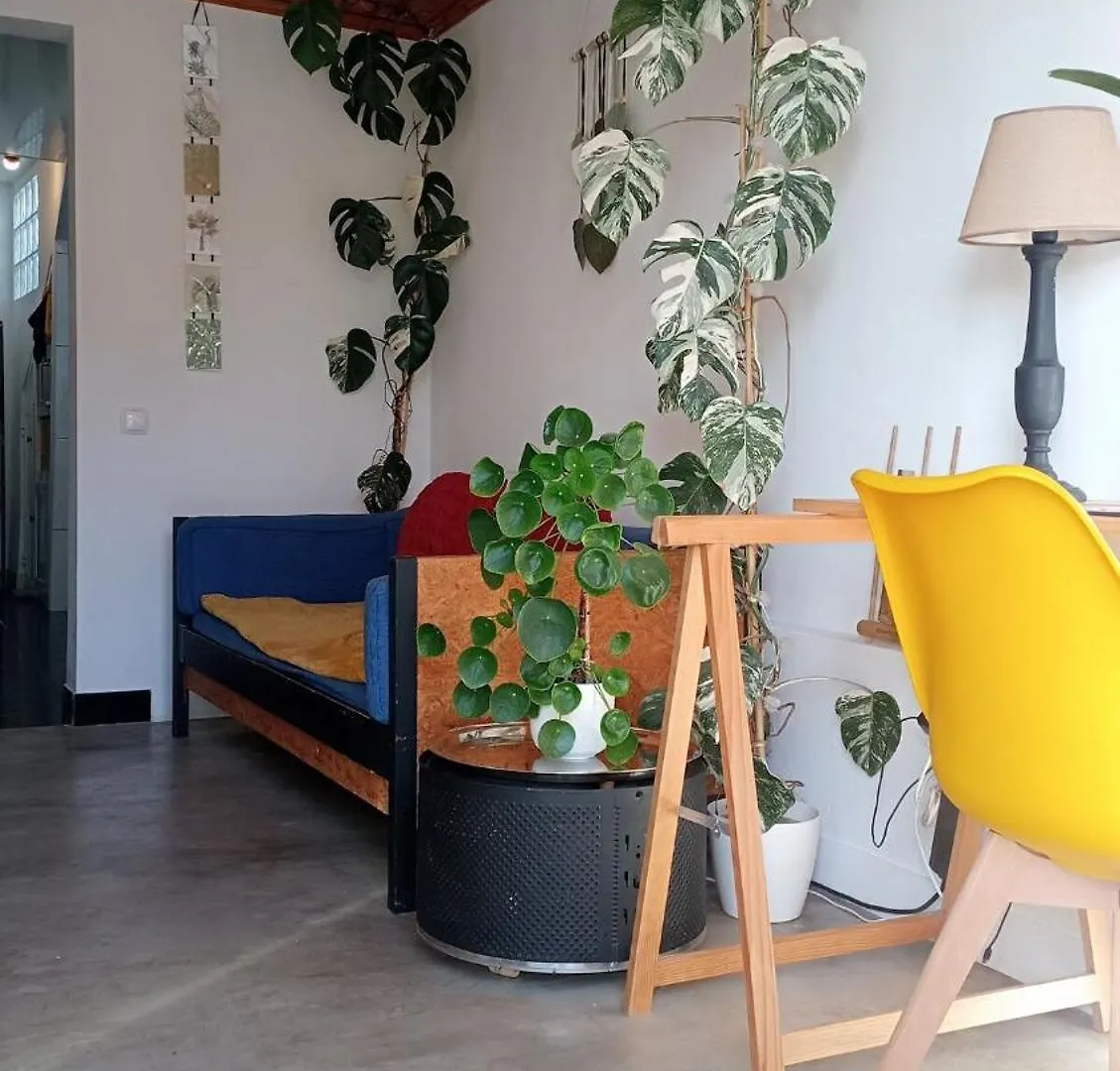 Kanela Guest House B-Side Machico  Apartment