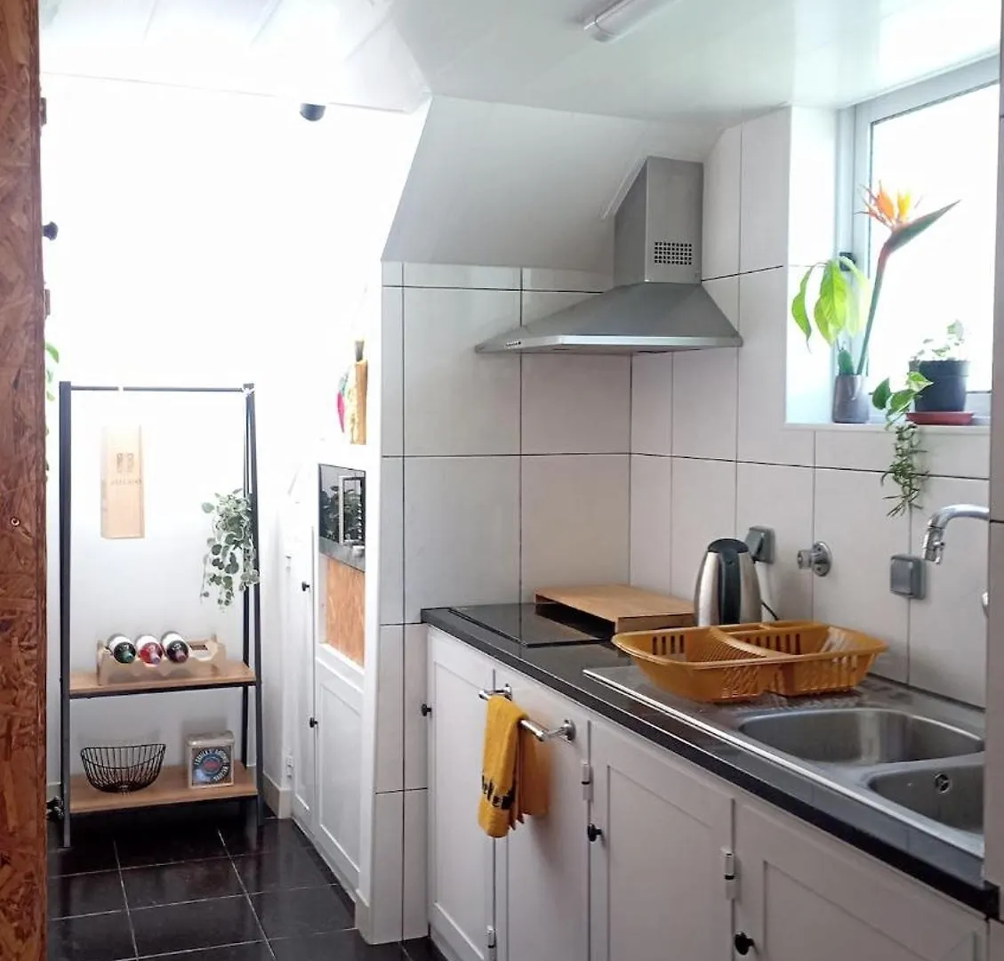Apartment Kanela Guest House B-Side Machico